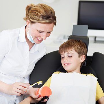 Bellevue Kids Dentist - Young boy looking at a model of teeth
